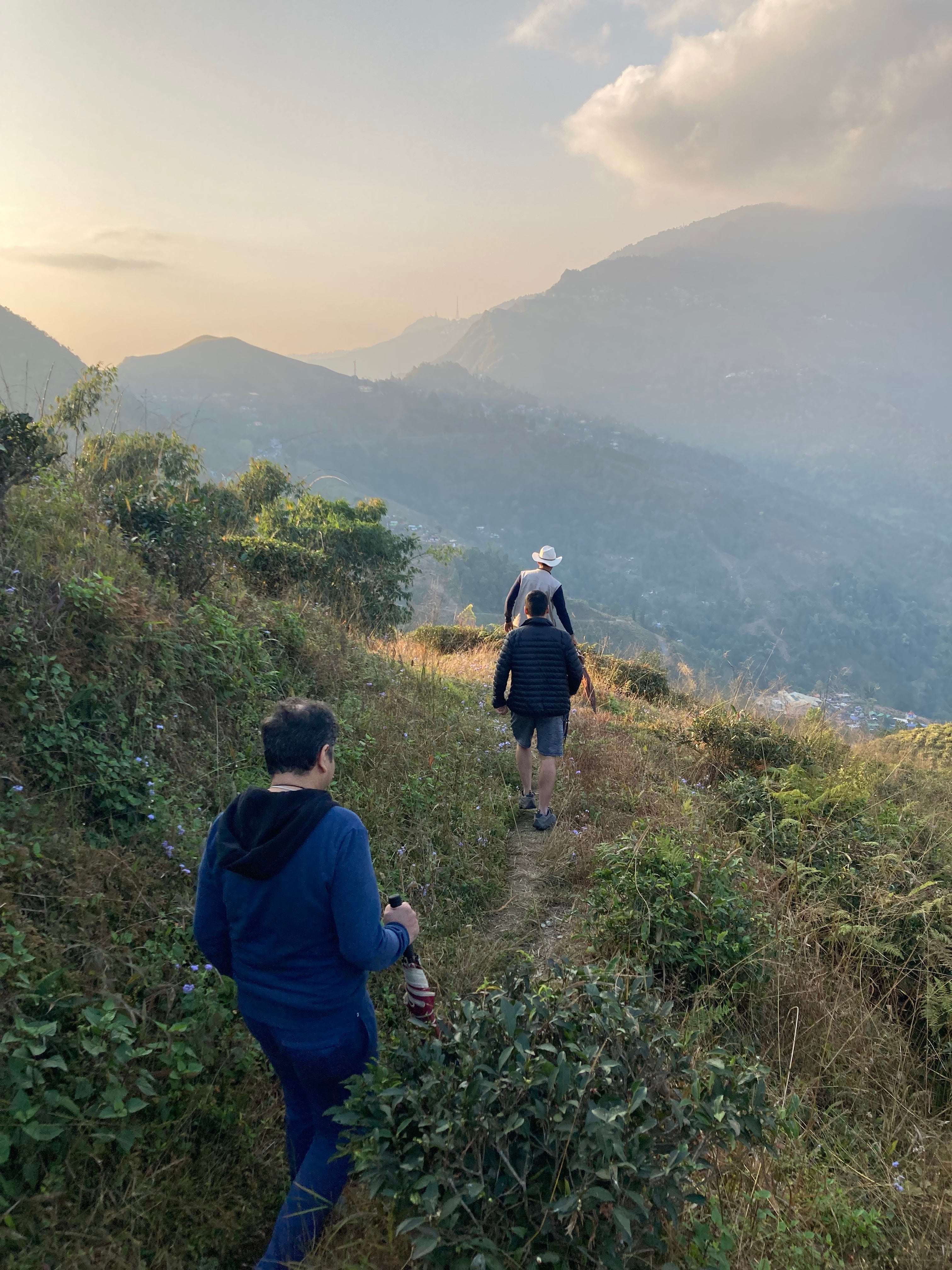 3 men walking down a forest trails with hills in the background